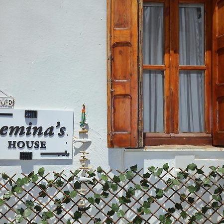 Villa Seminas House Città di Skopelos Esterno foto
