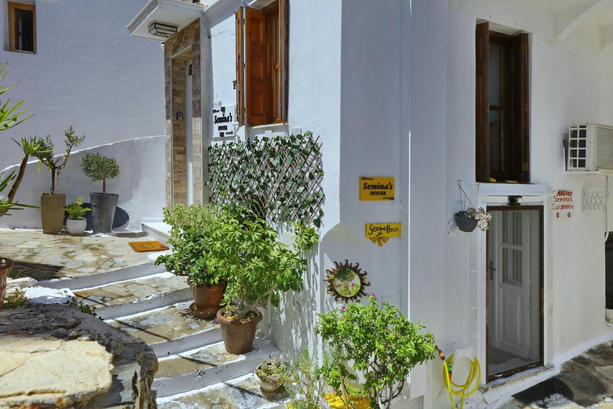 Villa Seminas House Città di Skopelos Esterno foto
