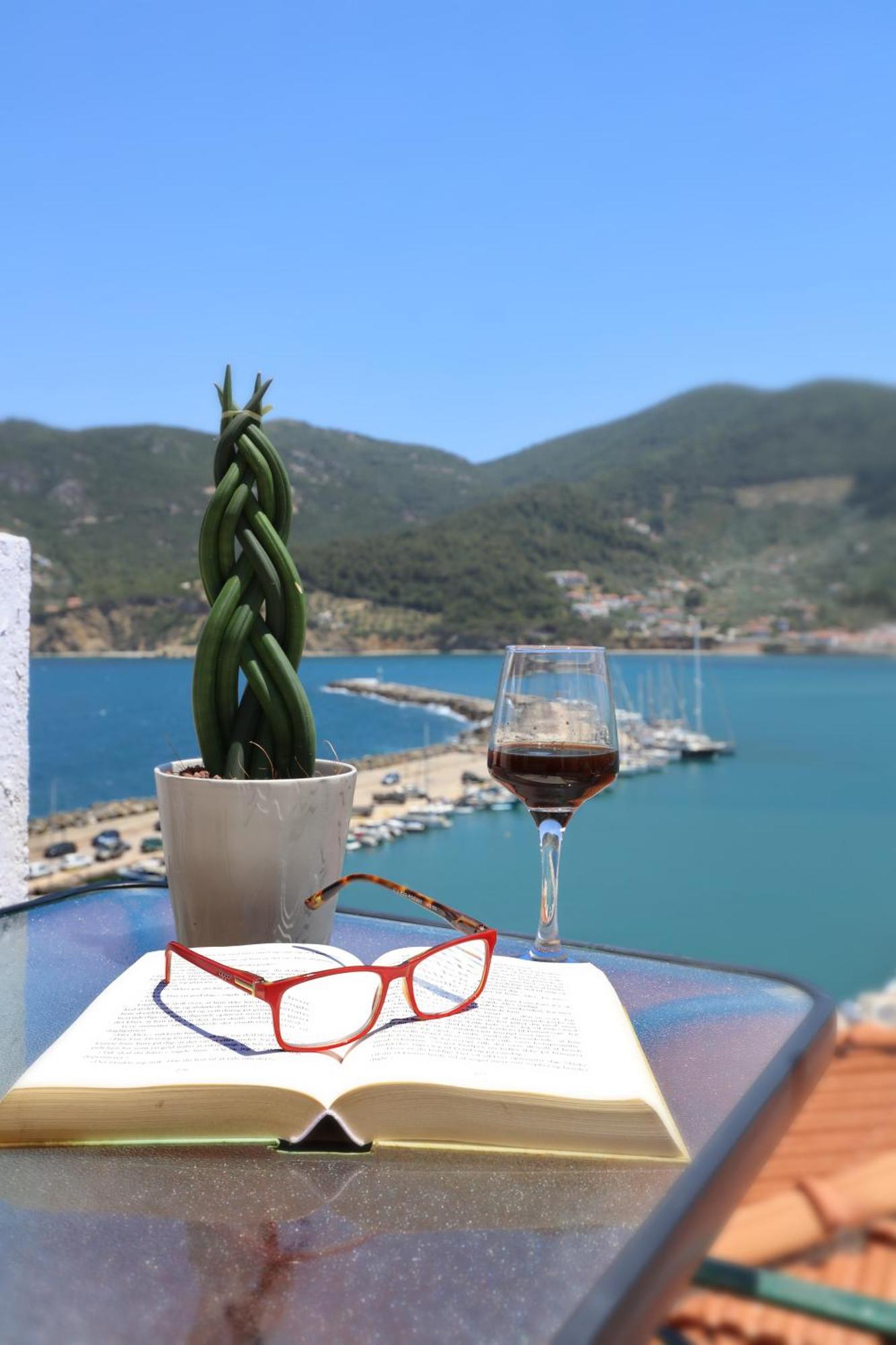 Villa Seminas House Città di Skopelos Esterno foto